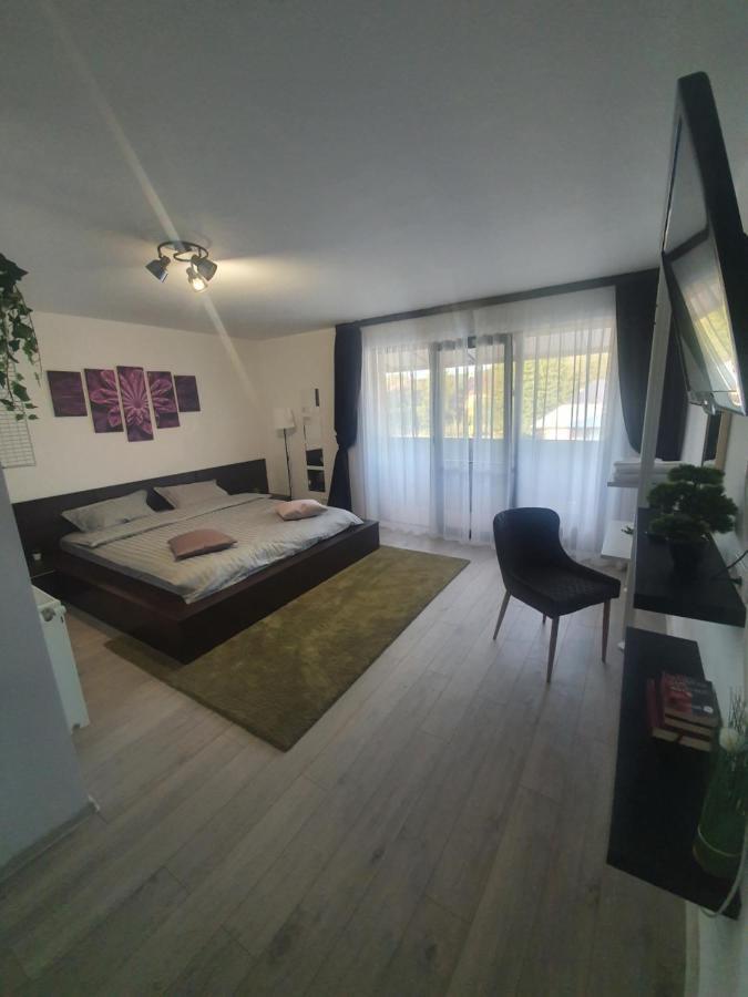 Pensiunea Relax Curtea de Argeş Exteriör bild