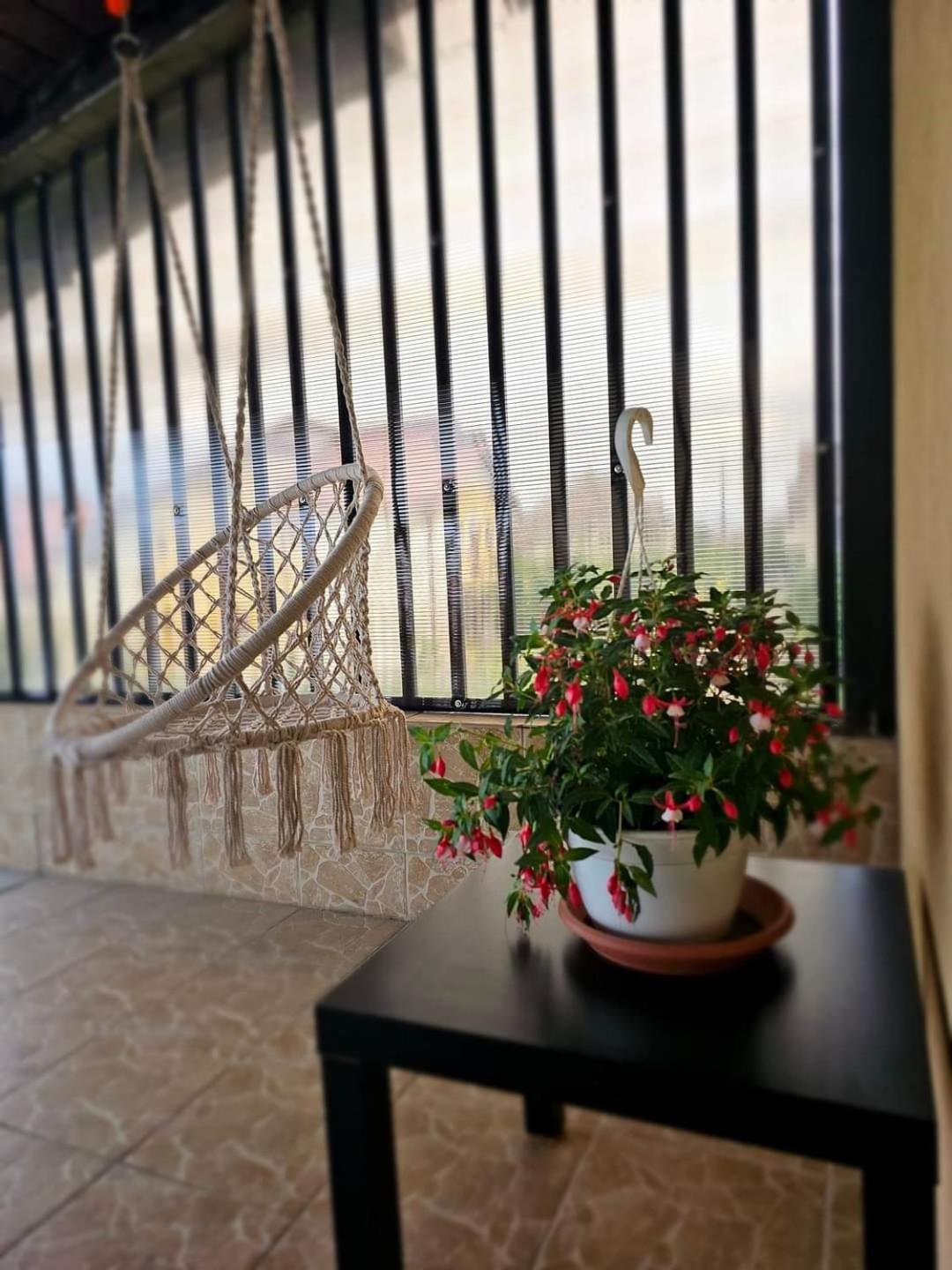 Pensiunea Relax Curtea de Argeş Exteriör bild
